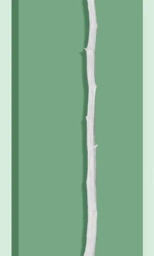Decorative Flower BG-G345